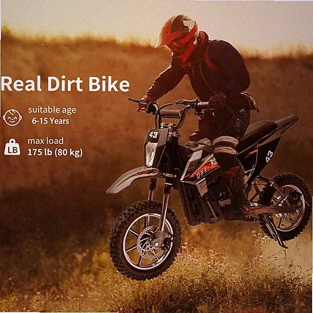 36V Electric Dirt Bike for 6+ Year Kids Ride on Motorcycle 350W Brushless Motor