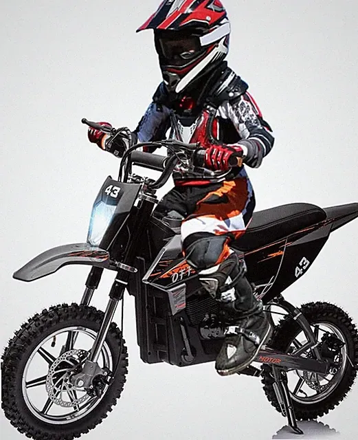 36V Electric Dirt Bike for Kids 8+ Motorcycle Toy Motocross 15.5 MPH Range 350W