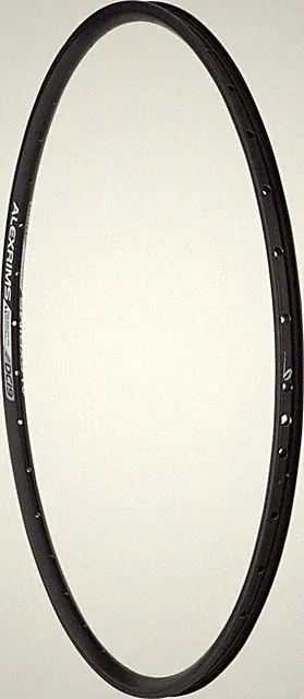 Alex DC19 Rim - 700, Disc, Black, 36H, Clincher